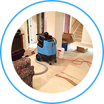 Carpet Cleaning